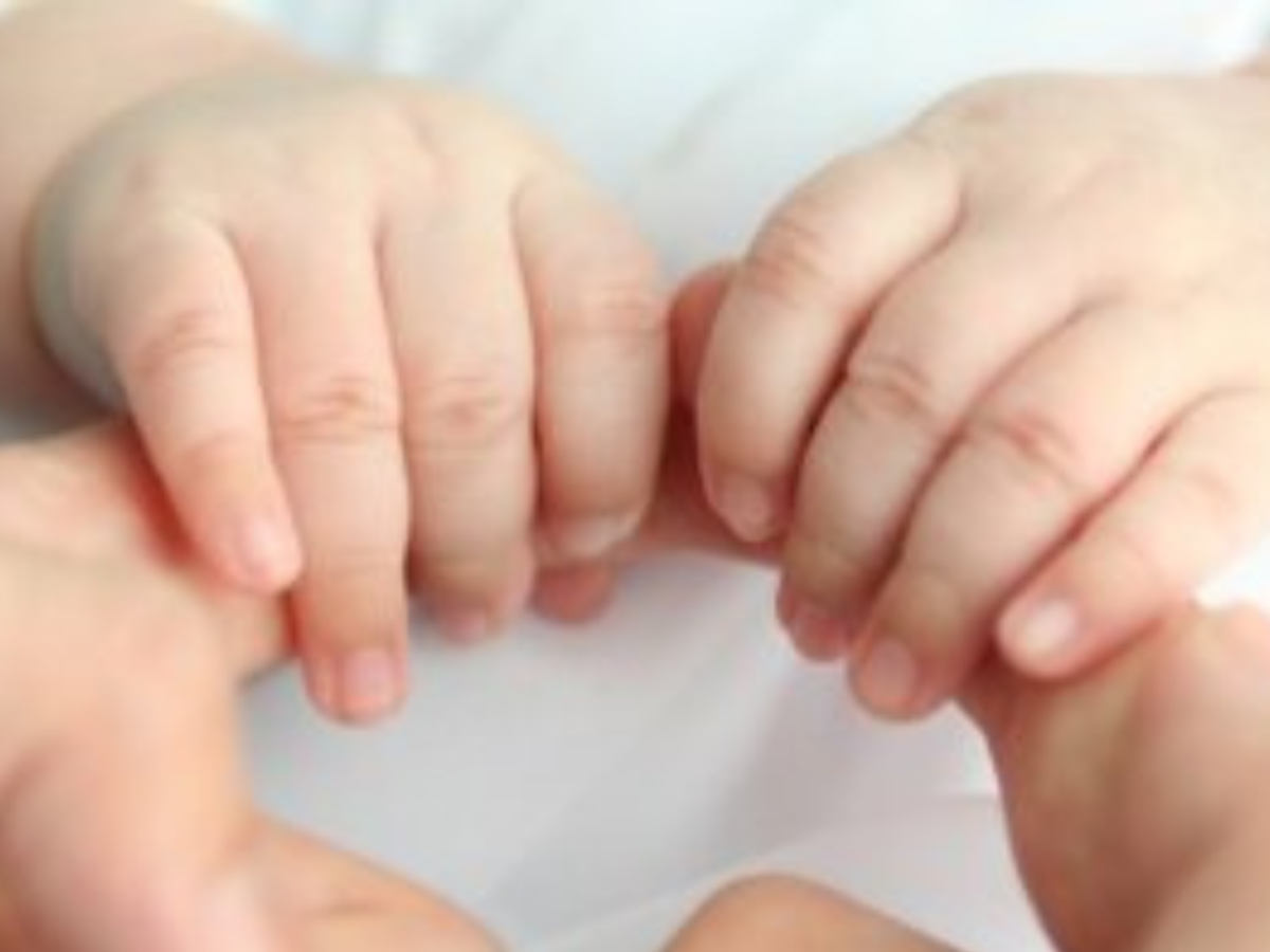 La famille s&rsquo;agrandit